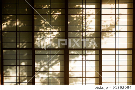 障子に映る木の陰影 障子に映る木の陰影 91392094