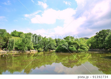 スポット 建物 歴史 91392734