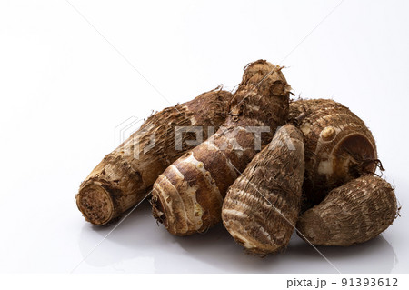 白バックの里芋 白バックの里芋 91393612