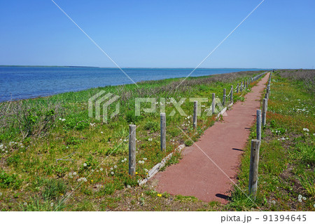 北海道 キムアネップ岬 北海道 キムアネップ岬 91394645