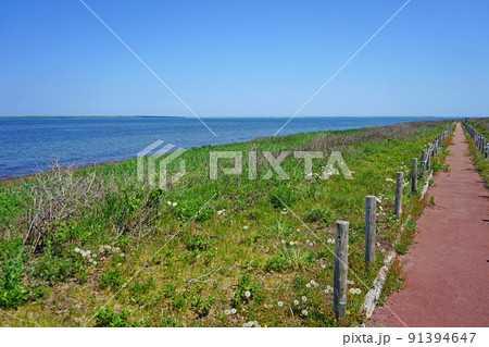 北海道　キムアネップ岬 91394647