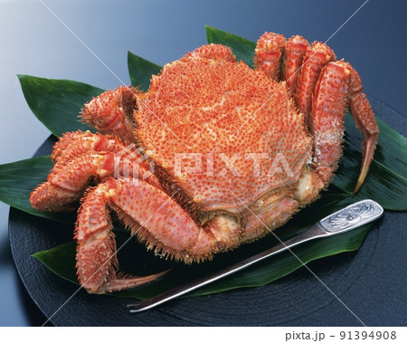 Alive king crab Alive king crab 91394908