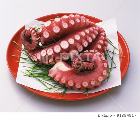 octopus octopus 91394917