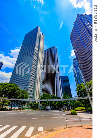 東京　新宿区西新宿の都市風景　損保ジャパン本社ビルと新宿野村ビル 91395113