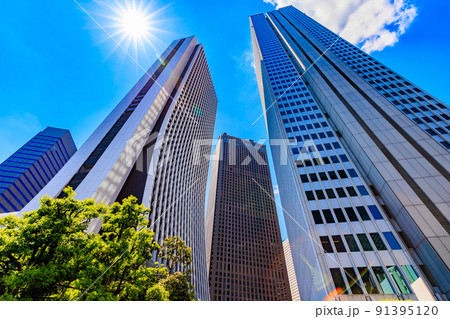 東京　新宿区西新宿の都市風景　損保ジャパン本社ビルと新宿野村ビル 91395120