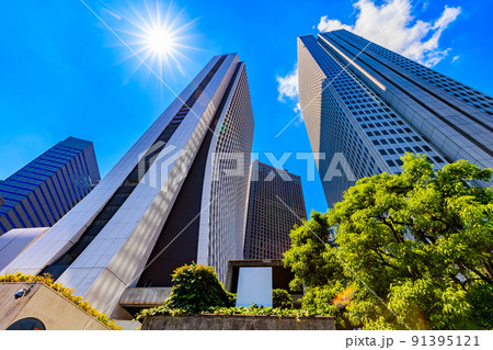東京　新宿区西新宿の都市風景　損保ジャパン本社ビルと新宿野村ビル 91395121