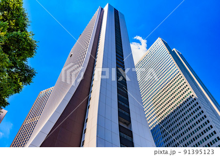 東京 新宿区西新宿の都市風景 損保ジャパン本社ビルと新宿野村ビル 東京 新宿区西新宿の都市風景 損保ジャパン本社ビルと新宿野村ビル 91395123