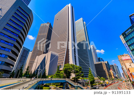 東京 新宿区西新宿の都市風景 損保ジャパン本社ビルと新宿野村ビル 東京 新宿区西新宿の都市風景 損保ジャパン本社ビルと新宿野村ビル 91395133