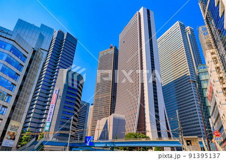 東京 新宿区西新宿の都市風景 損保ジャパン本社ビルと新宿野村ビル 東京 新宿区西新宿の都市風景 損保ジャパン本社ビルと新宿野村ビル 91395137