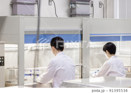 研究室　開発　実験室　臨床検査　バイオテクノロジー　新薬 91395536