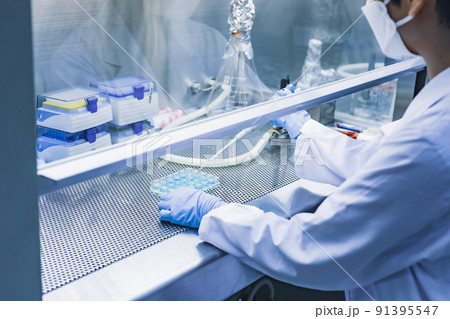 研究室　開発　実験室　臨床検査　バイオテクノロジー　新薬 91395547