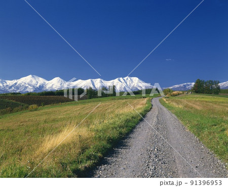 Mountain road 91396953