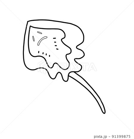 Sea stingray.Vector illustration in the style of a doodle. Cramp-fish sketch 91399875