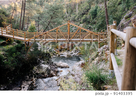 Wood bridge over a river on a forest Wood bridge over a river on a forest 91403395