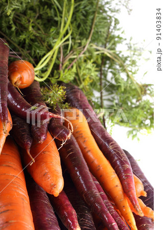 Orange and violet carrots and leaves Orange and violet carrots and leaves 91403834