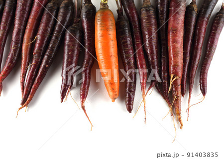 Orange and violet carrots Orange and violet carrots 91403835