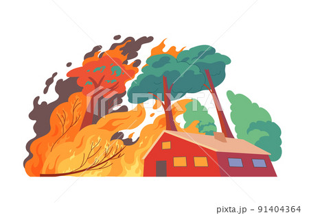 Forest fire, burning house Natural disaster. 91404364