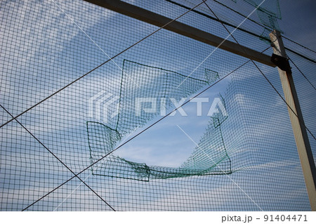 ネットフェンスの破れ ネットフェンス ネットフェンスの破れ ネットフェンス 91404471