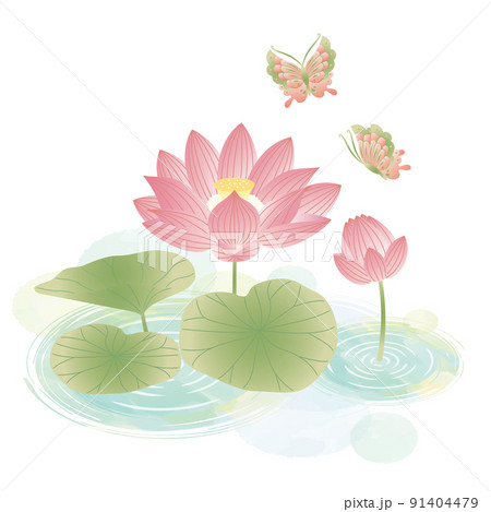 蓮の花 イラスト 蓮の花 イラスト 91404479