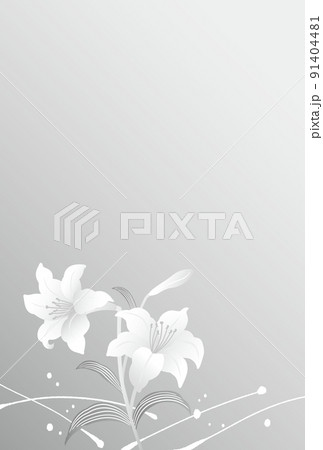 喪中はがきテンプレート背景　百合の花 91404481