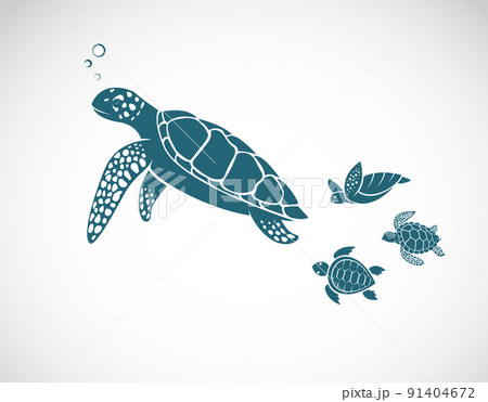 Vector of turtles family design on white background. Easy editable layered vector illustration. Undersea Animals. 91404672