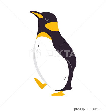 Funny Emperor Penguin as Aquatic Flightless Bird with Flippers Waddling Vector Illustration 91404992