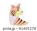 ネコ・チャトラ 91405278