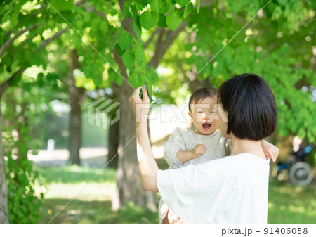 新緑の葉っぱを触る母親と1歳の女の子 新緑の葉っぱを触る母親と1歳の女の子 91406058