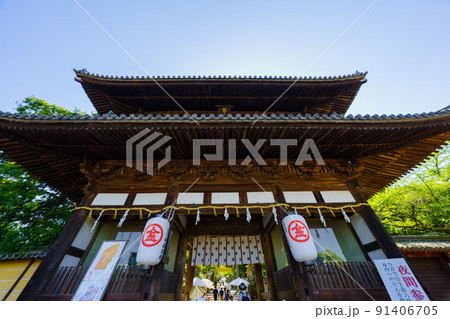 金刀比羅宮 91406705