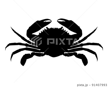 realistic crab on white background. silhouette of brown crab. crab sign. flat style. 91407993
