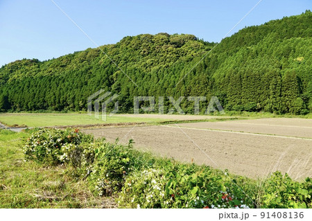 佐賀県伊万里市大川町駒鳴あたりの農地 91408136