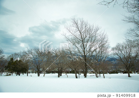 滋賀県　三島池・伊吹山の雪景色　2022年2月 91409918