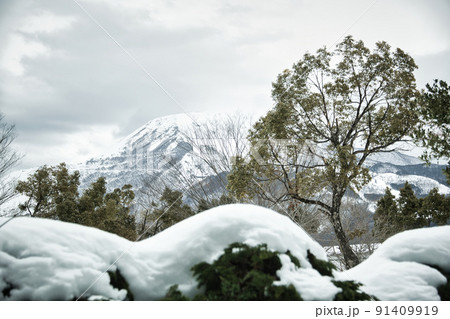 滋賀県 三島池・伊吹山の雪景色 2022年2月 滋賀県 三島池・伊吹山の雪景色 2022年2月 91409919