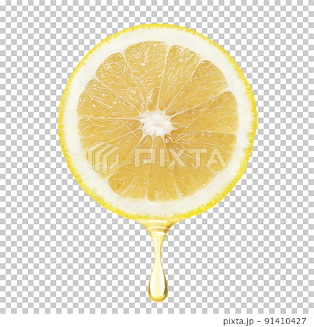 Grapefruit illustration real 91410427