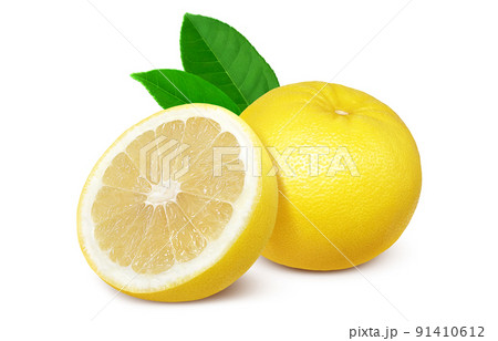 グレープフルーツ イラスト リアル セット グレープフルーツ イラスト リアル セット 91410612