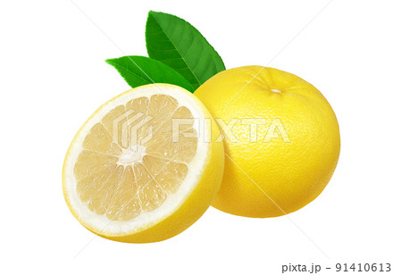 グレープフルーツ イラスト リアル セット 91410613