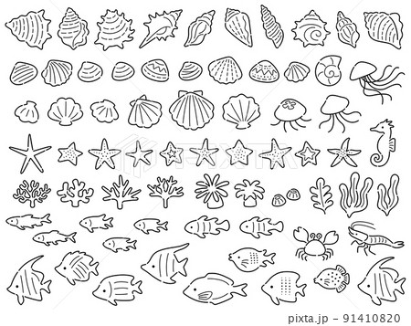 海の生き物の線画イラストセット 91410820
