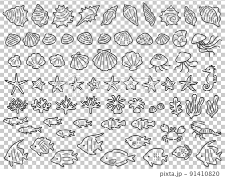 海の生き物の線画イラストセット 91410820