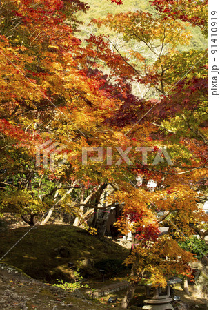 秋色に染まった公園 91410919