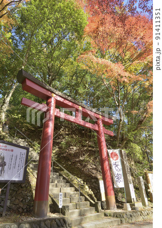 栃木県と茨城県の県境に位置する鷲子山上神社(とりのこさんしょうじんじゃ)本宮の鳥居と紅葉 栃木県と茨城県の県境に位置する鷲子山上神社(とりのこさんしょうじんじゃ)本宮の鳥居と紅葉 91411351