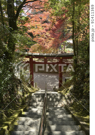 栃木県と茨城県の県境に位置する鷲子山上神社(とりのこさんしょうじんじゃ)本宮の鳥居と紅葉 栃木県と茨城県の県境に位置する鷲子山上神社(とりのこさんしょうじんじゃ)本宮の鳥居と紅葉 91411369