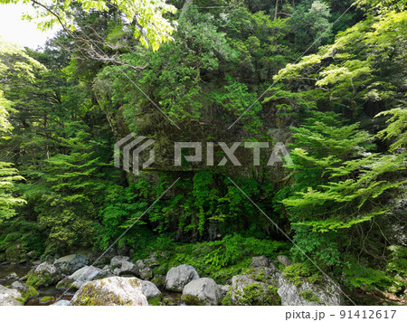 愛媛県内子町　小田深山渓谷　腰のばし岩 91412617