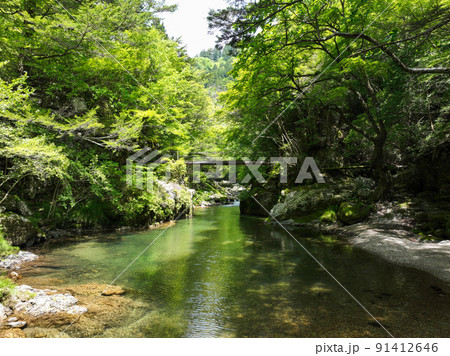 愛媛県内子町　小田深山渓谷　廻り岩周辺の風景 91412646