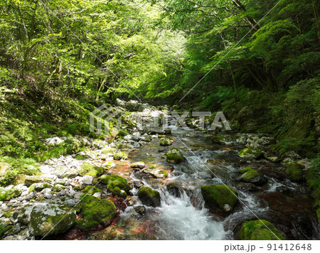 愛媛県内子町 小田深山渓谷 廻り岩周辺の風景 愛媛県内子町 小田深山渓谷 廻り岩周辺の風景 91412648