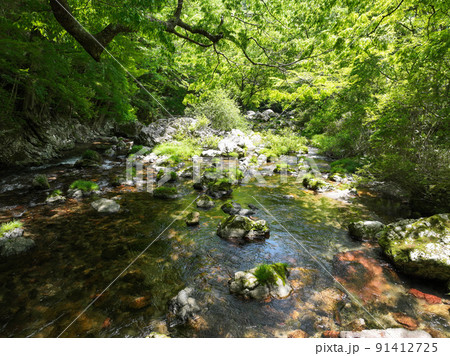 愛媛県内子町 小田深山渓谷 五色河原 愛媛県内子町 小田深山渓谷 五色河原 91412725