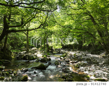 愛媛県内子町　小田深山渓谷　五色河原 91412740