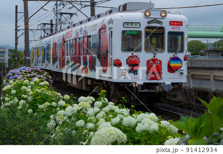 和歌山電鐵 チャギントン電車 和歌山県和歌山市 和歌山電鐵 チャギントン電車 和歌山県和歌山市 91412934