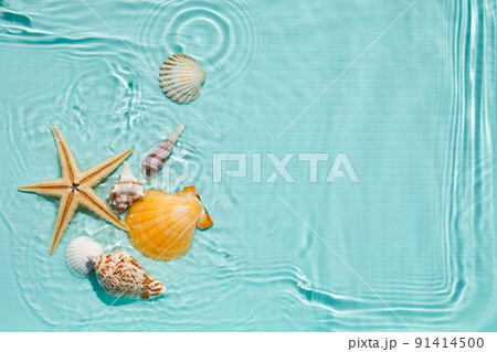 Starfish and seashell in water. Summer background. Summer time. Starfish and seashell in water. Summer background. Summer time. 91414500