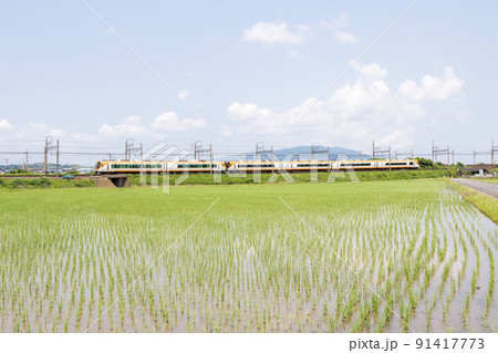 【近鉄名古屋線】田園地帯を駆け抜ける特急列車 91417773
