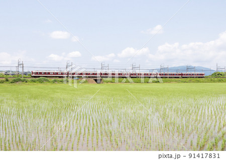 【近鉄名古屋線】田園地帯を駆け抜ける急行列車 91417831